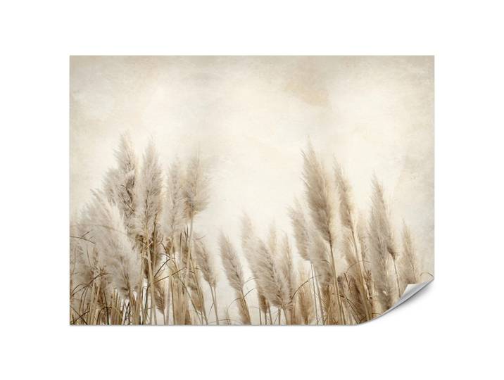 Muralo Fototapete für Schlafzimmer Boho Pampasgras Beton Pflanzen Vintage 250x175, Braun, Beige, Papier, Beton Optik, Baum/Pflanze/Natur, Rechteckig, 250x175 cm, Tapeten & Wandverkleidungen, Fototapeten