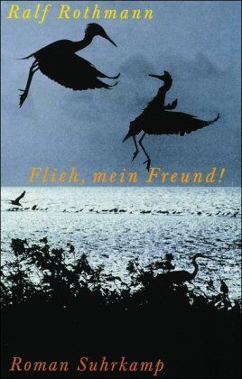 Ralf Rothmann - Flieh, mein Freund!: Roman - Preis vom 09.10.2026 07:28:09 h