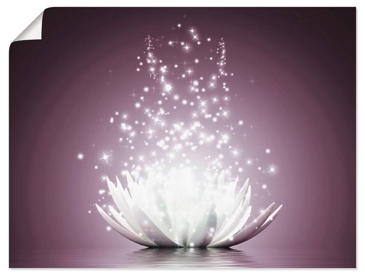Wandbild ARTLAND Magie der Lotus-Blume , lila (farbe bild(er): lila), B:40cm H:30cm, Bilder, Wandbild, als Leinwandbild, Poster in verschied. Grössen