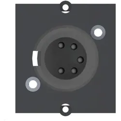 Bachmann Custom Modul 1x XLR 5-polig Buchse (917.101)