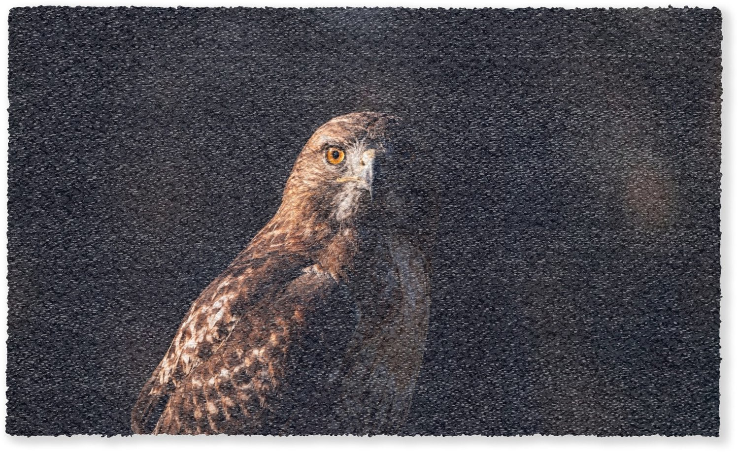 MuchoWow Droogloopmat Roofvogel Buizerd Bruin - Inloopmat voor binnen - B: 150 cm, D: 90 cm