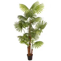 EUROPALMS Fächerpalme, Kunstpflanze, 165cm