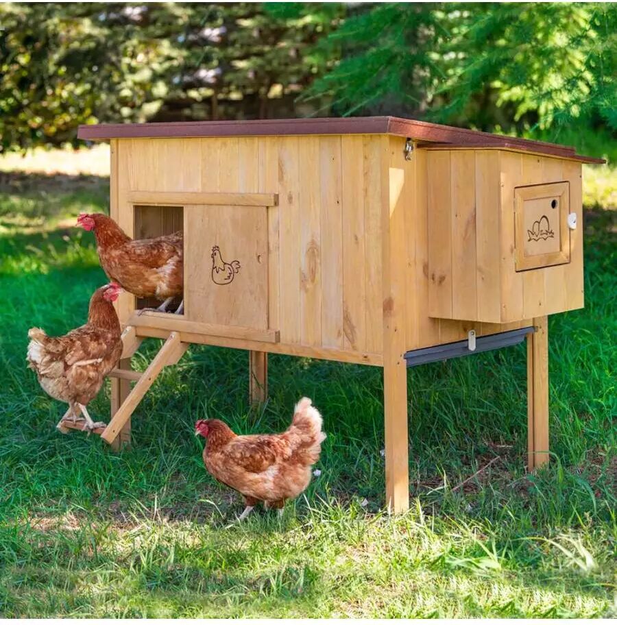 Ferplast POLLAIO IN LEGNO DI PINO HEN HAUSE 30