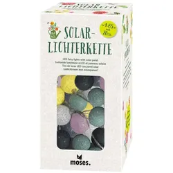 Moses Blatt & Blüte Solarlichterkette