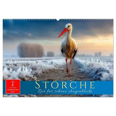 Störche - Zeit für schöne Augenblicke (Wandkalender 2027 DIN A2 quer), CALVENDO Monatskalender