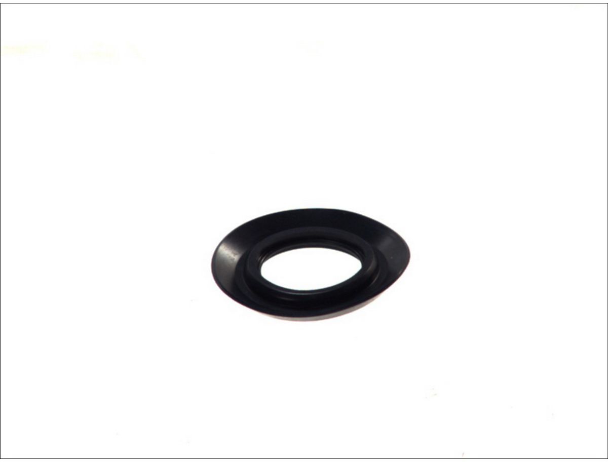 Wellendichtring, Ausrücklagerwelle DT Spare Parts 2.30313