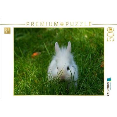 CALVENDO Puzzle Weißes Zwergkaninchen Baby im Grünen | 500 Teile Lege-Größe 48 × 36 cm Foto-Puzzle für Erwachsene