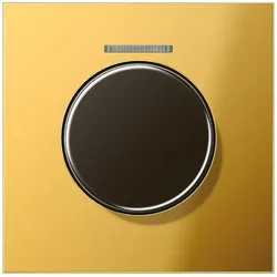 Jung Abdeckung Drehsensor GO 1940 KO5