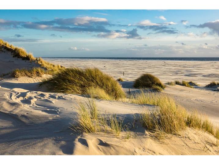Fototapete PAPERMOON DÜNEN-AMRUM NORDSEE STRAND MEER INSEL HOLSTEIN GRAS XXL , bunt, B:3,5m L:2,6m, Vlies, Tapeten, Fototapete