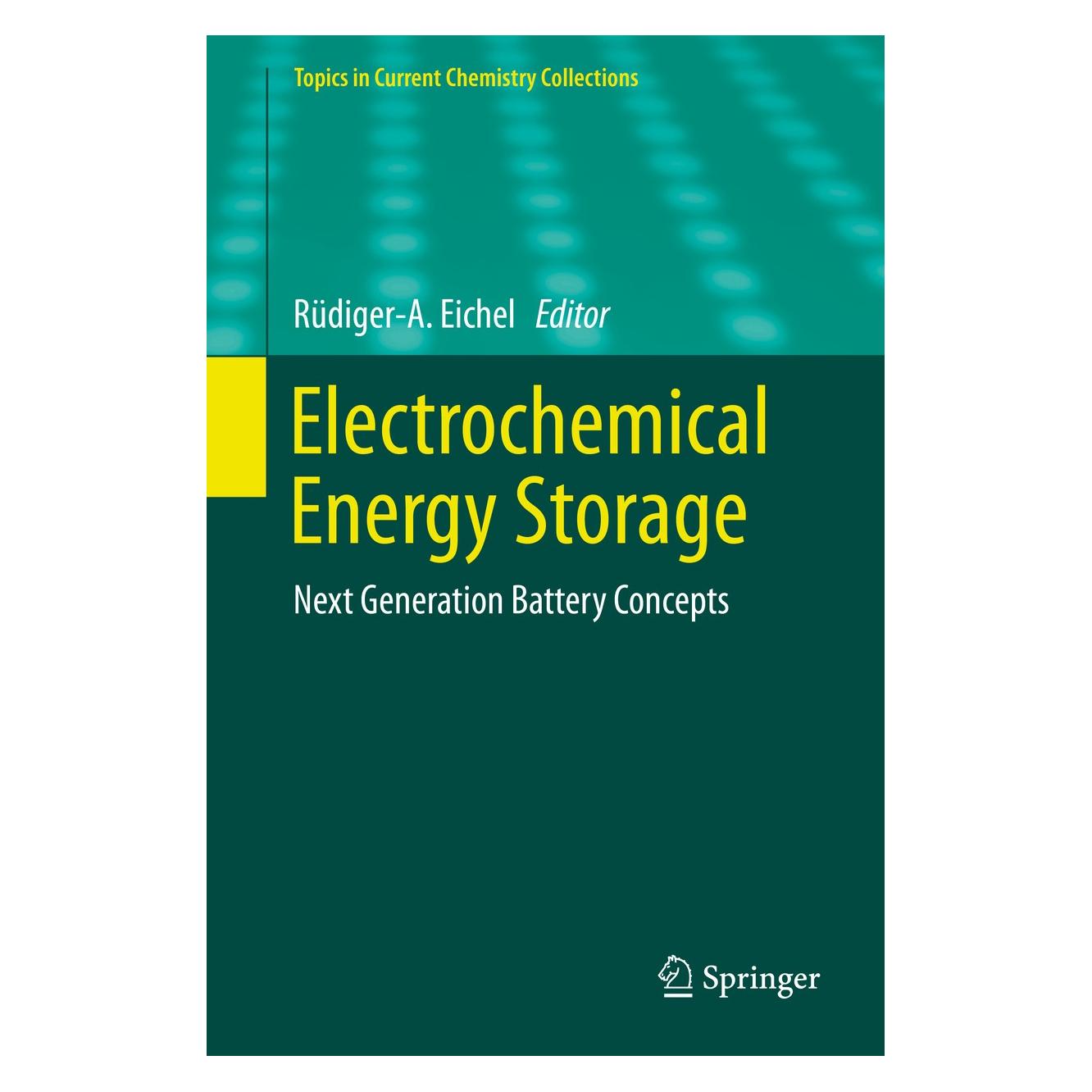 Springer Electrochemical Energy Storage (Englisch, Rüdiger-A. Eichel) (9783030261283)