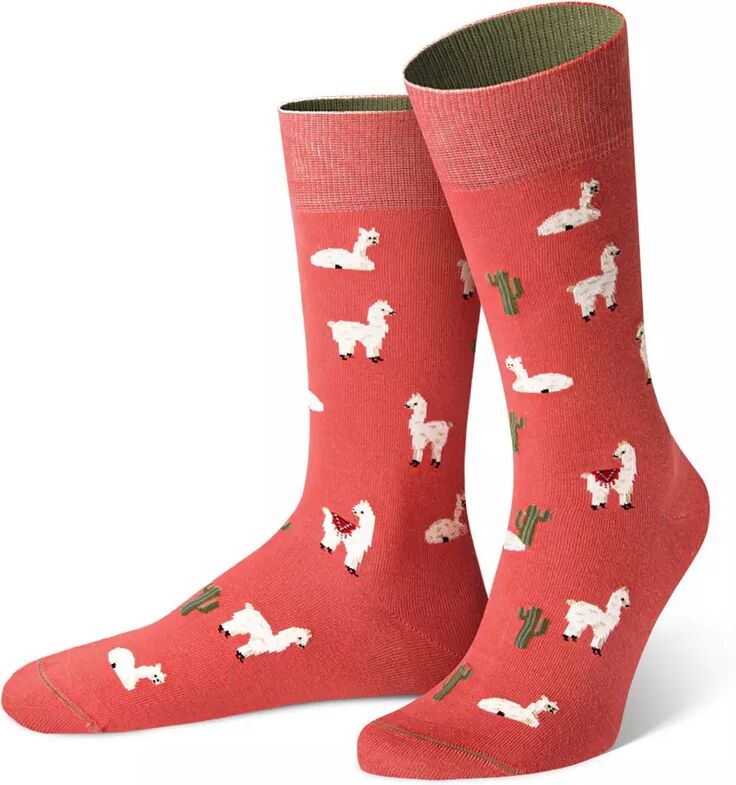 von Jungfeld - Socken, für Damen, Rost, Größe 39-42