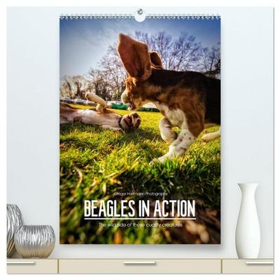Beagles in action (High Quality Premium Wall Calendar 2026 DIN A2 portrait),CALVENDO 12 Month Wall Calendar