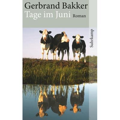 Tage im Juni, Taschenbuch von Gerbrand Bakker, Suhrkamp