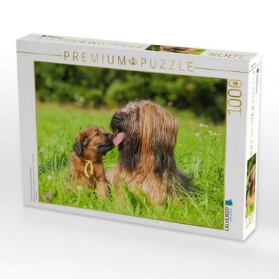 CALVENDO Puzzle Briard- Hündin mit einem ihrer Welpen | 1000 Teile Lege-Größe 64x48cm Foto-Puzzle für glückliche Stunden