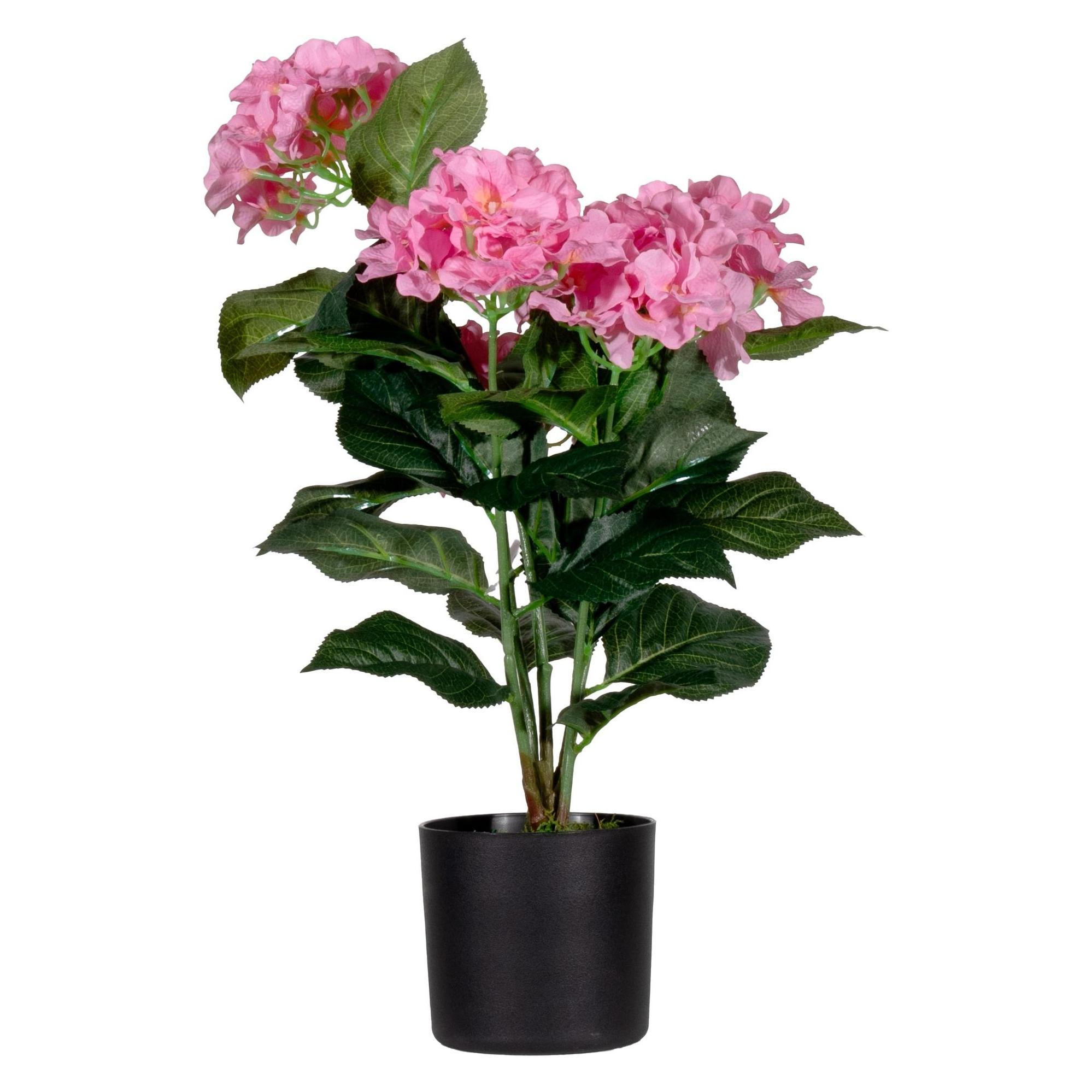 Paperflow meet powered by HORTENSIE Kunstpflanze 55,0 cm (55 cm) (PAHORT55)