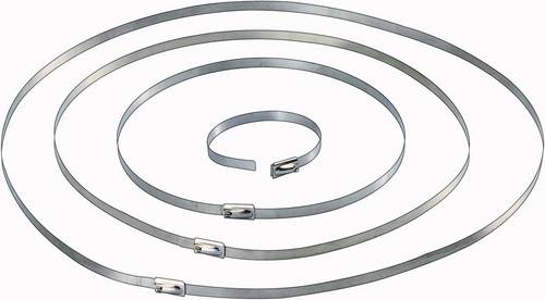 TRU Components 1570838 Kabelbinder 201mm 4.60mm Silber 10St.