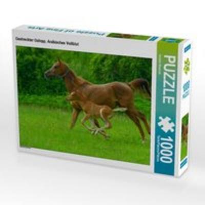 CALVENDO Puzzle Gestreckter Galopp, Arabisches Vollblut | 1000 Teile Lege-Größe 64x48cm Foto-Puzzle für glückliche Stunden