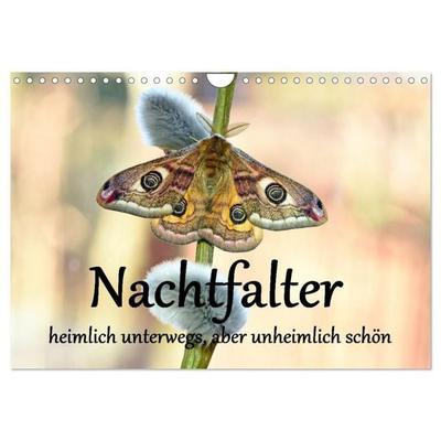 Nachtfalter - heimlich unterwegs, aber unheimlich schön (Wandkalender 2027 DIN A4 quer), CALVENDO Monatskalender
