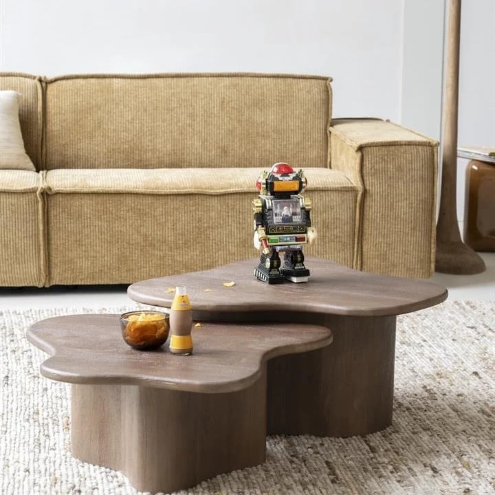 By-Boo Organische Salontafel Fall Set van 2 stuks - Mangohout - Bruin