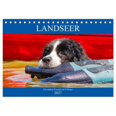 Landseer - Ein starker Freund auf 4 Pfoten (Tischkalender 2027 DIN A5 quer), CALVENDO Monatskalender