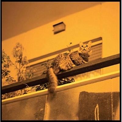 The Republic - Sam Prekop, Vinyl