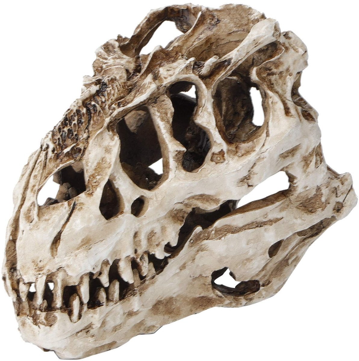 Dailygoods Dinosaurus Schedel van Hars - Decoratieve Sculptuur voor Halloween en Interieurdecoratie