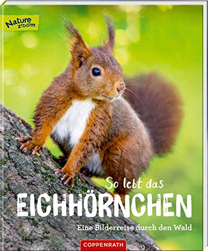 Sandra Noa - So lebt das Eichhörnchen: Eine Bilderreise durch den Wald (Nature Zoom) - Preis vom 09.10.2026 07:28:09 h