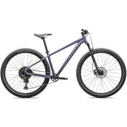 Specialized Mountainbike Rockhopper Comp Satin Mauve Metallic / Fjord Metallic 2... - L - L