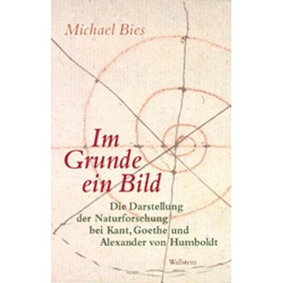 Im Grunde ein Bild, Gebundene Ausgabe von Michael Bies, Wallstein Verlag, 978-3-8353-1053-7