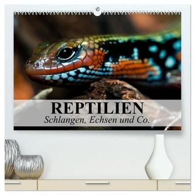Reptilien Schlangen, Echsen und Co. (hochwertiger Premium Wandkalender 2026 DIN A2 quer), Kunstdruck in Hochglanz