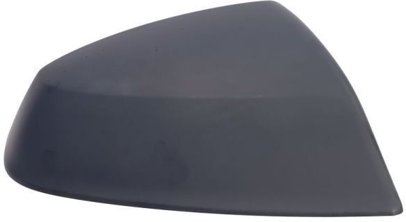 BLIC 6103-25-1875311P Wing mirror cover