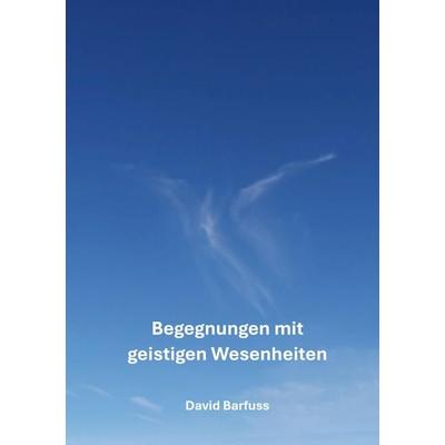 Begegnungen mit geistigen Wesenheiten, Taschenbuch von David Barfuss, BoD – Books on Demand, 978-3-695-15996-3