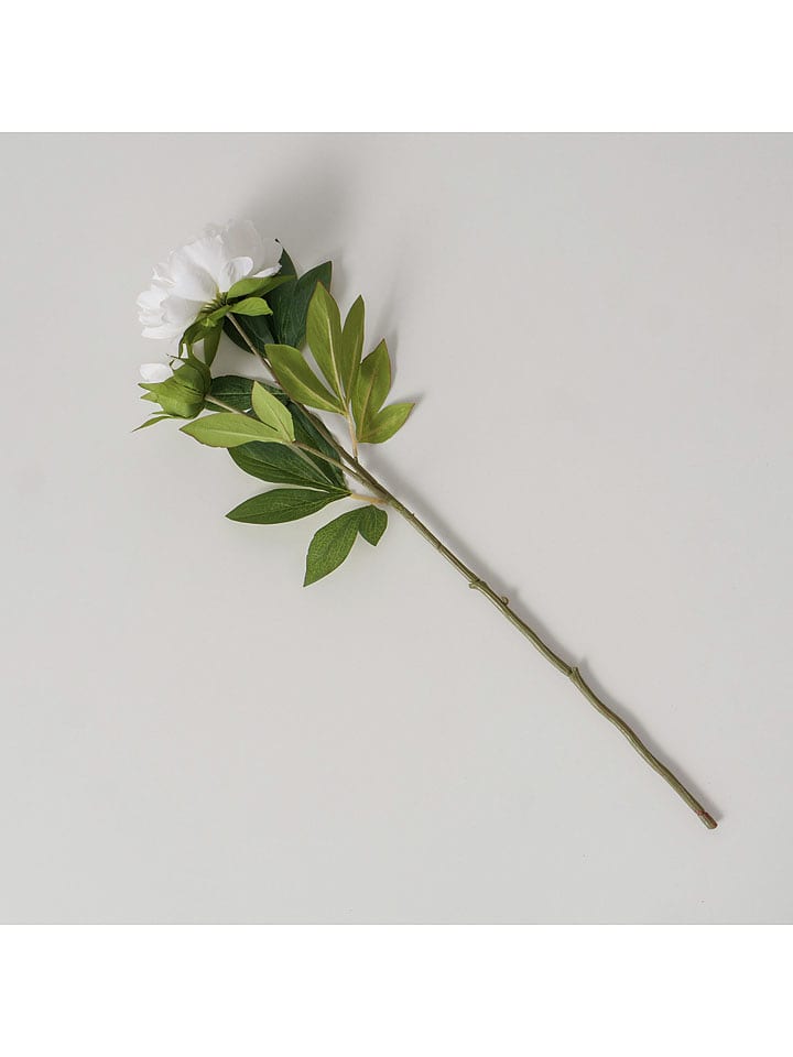 Boltze Kunstblume "Päonie" in Grün/ Weiß - (H)72 cm - onesize