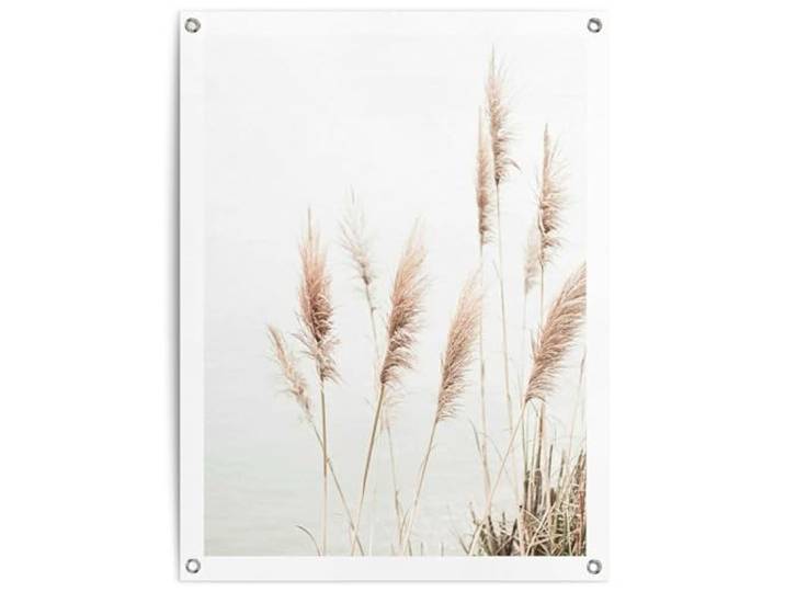REINDERS Gartendeko, Pampasgras, Garten, Bilder, Wanddeko, Room Decor, Leinwand, Beige, 80 x 60