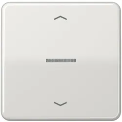 Jung Taster 1fach BT CD 17101 P LG