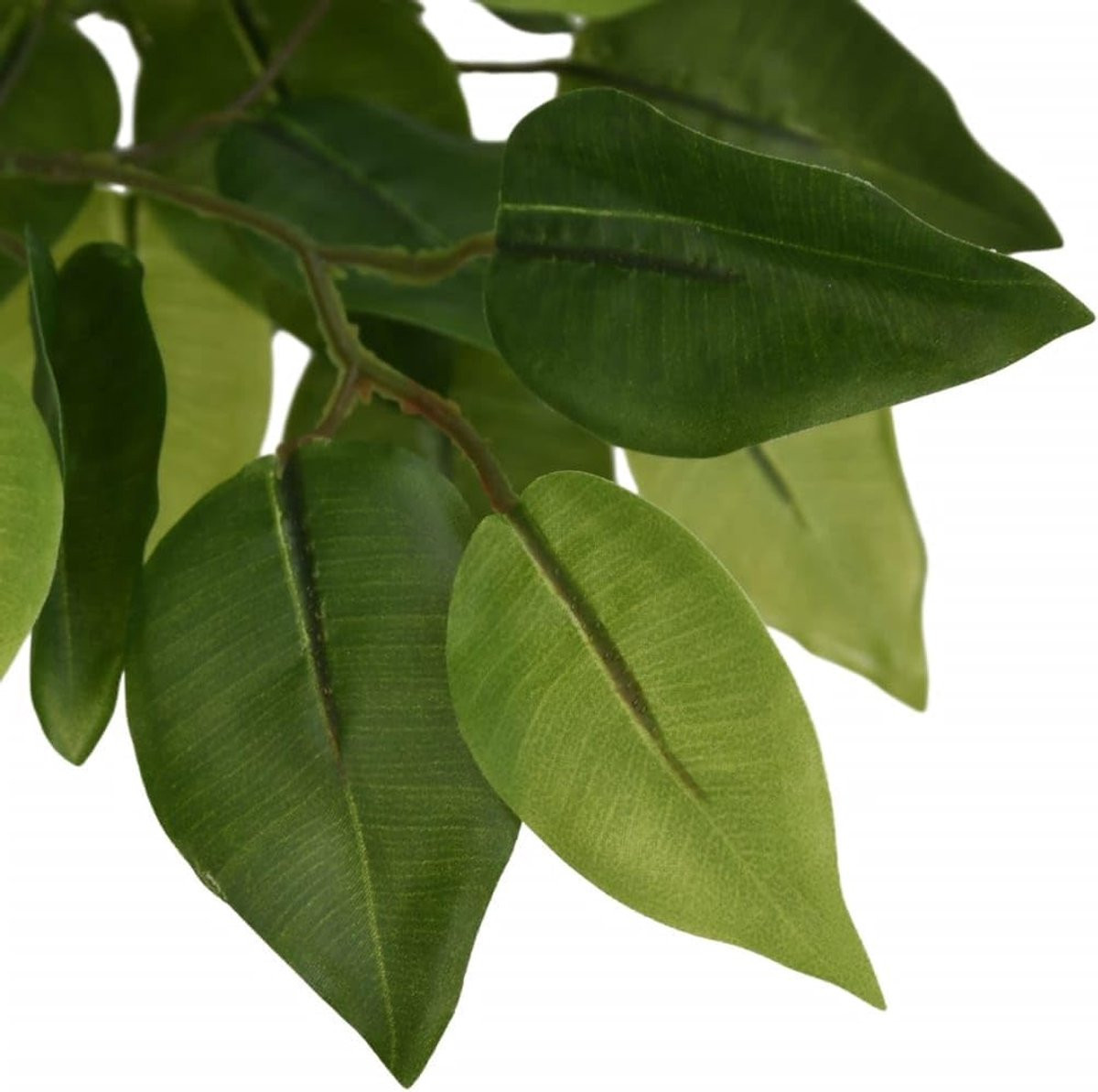 Realistische kunstmatige ficus boom voor binnen, Groen, Hoogte: 180 cm