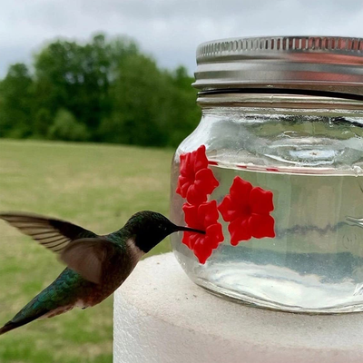 HomeDecorAndMore LLC Beautiful Mason Jar Hummingbird Feeder With Three Ports Beautiful Mason Jar Hummingbird Feeder With Three Ports