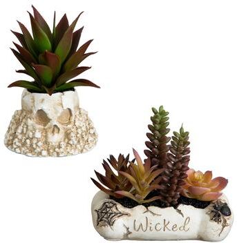 Nearly Natural 5-in Halloween Succulent Garden in Haunted Planter - Set of 2
