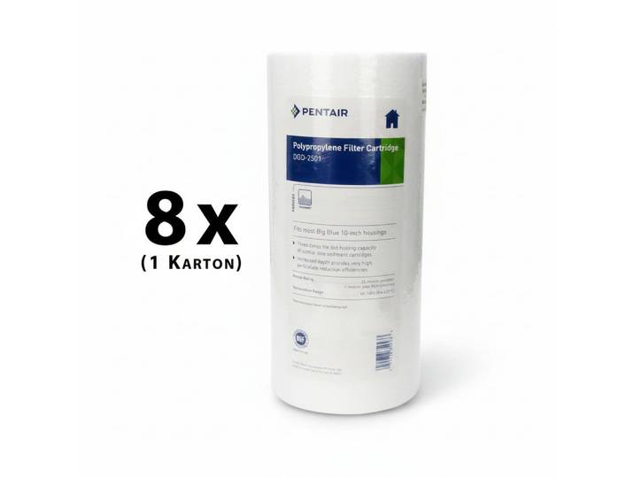 Pentair Wasserfilter, 8x / Pentek DGD-2501 25/1 μm 10 BigBlue 155359-43