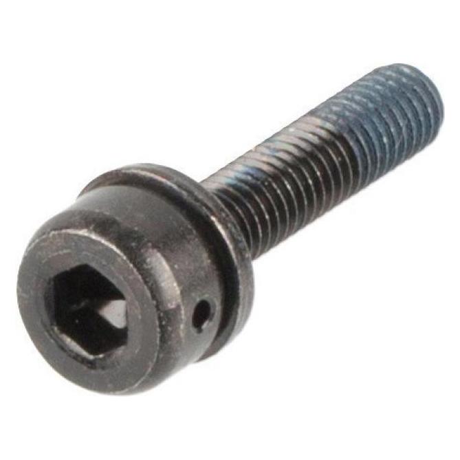 Shimano Converter fixing bolt (Y81743250)