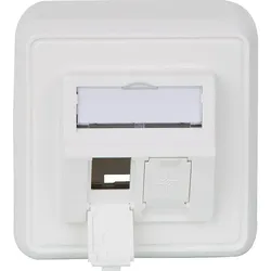 Modul-Aufnahme 80x80, aufbauend, 2-fach AP alpinweiß, 1 Stück Telegärtner