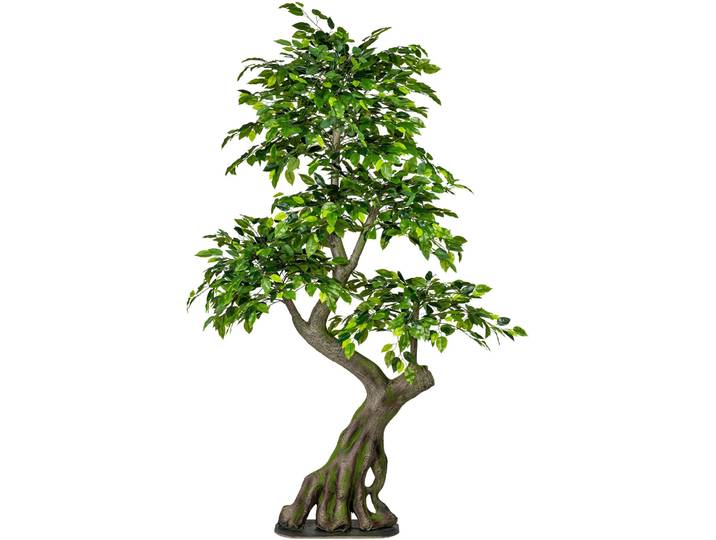 Kunstbaum CREATIV GREEN Ficus Benjamini , grün, B:80cm H:170cm, Kunststoff, Kunstpflanzen, Kunstbaum