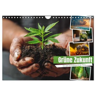 Grüne Zukunft (Wandkalender 2026 DIN A4 quer), CALVENDO Monatskalender