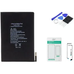 iPad mini 4 Akku - Set