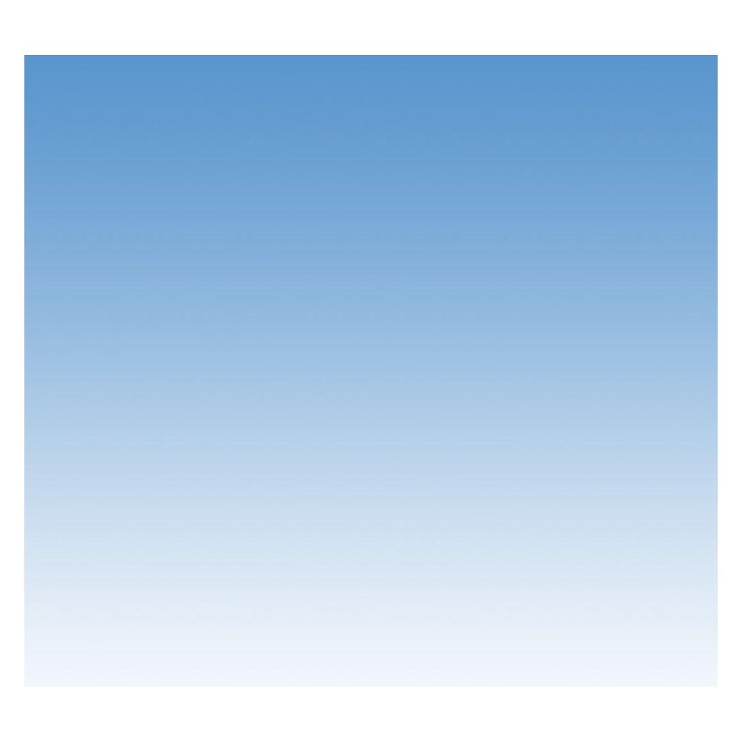 Colorama Hintergrund 100 x 170cm (100 cm, 170 cm) (LL COGRAD312)