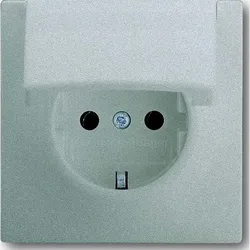 Busch-Jaeger Steckdose alu/si 20 EUK-783