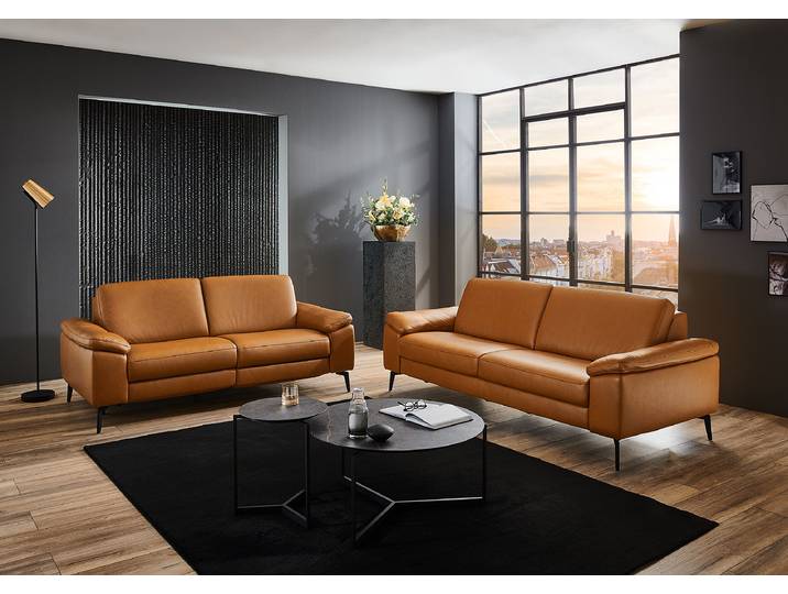 3-Sitzer Sofa SC Pure Braun Echtleder Teresa 224 x 86 x 100cm Keine Funktion Keine Funktion Modern