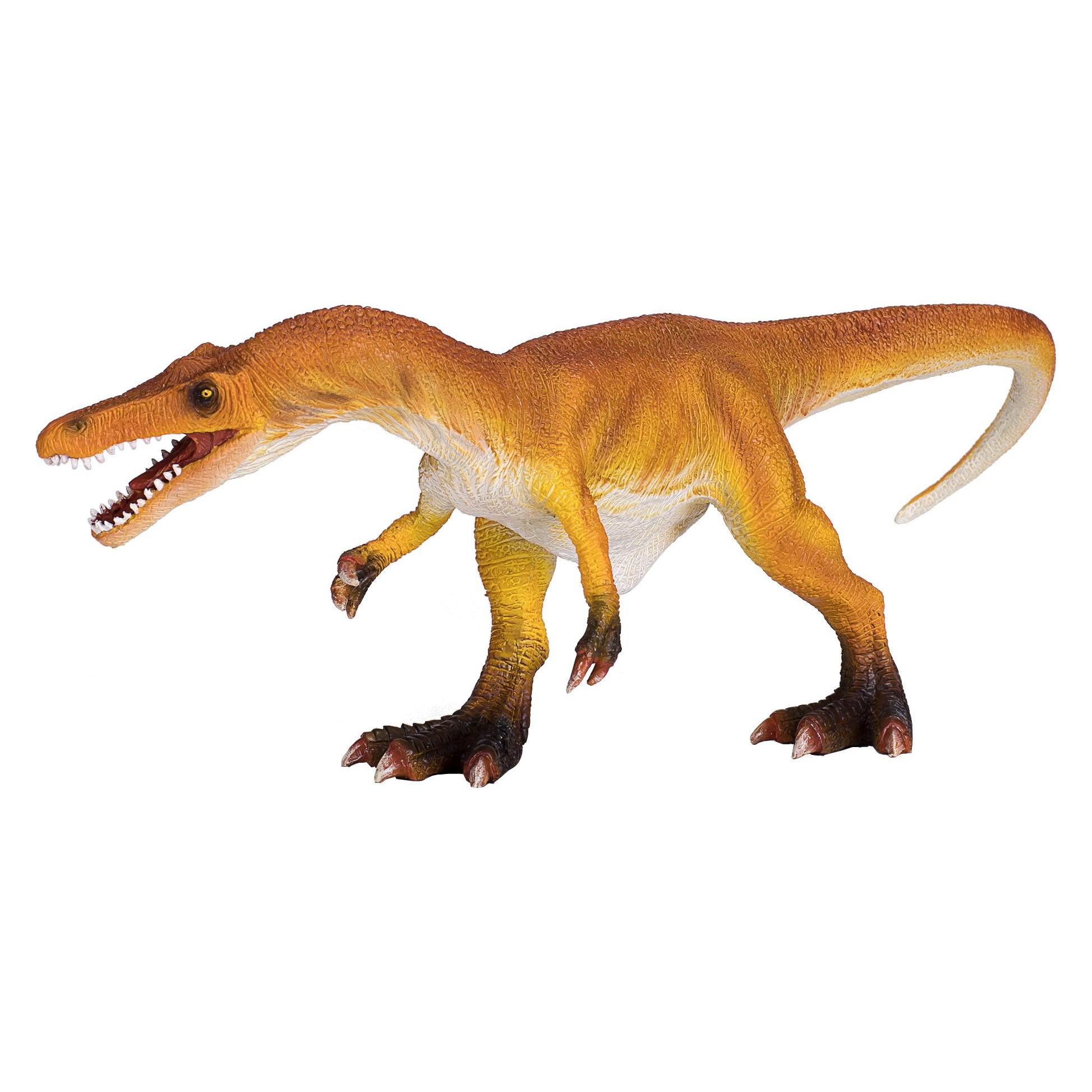 small foot Baryonyx (MJ-381014)