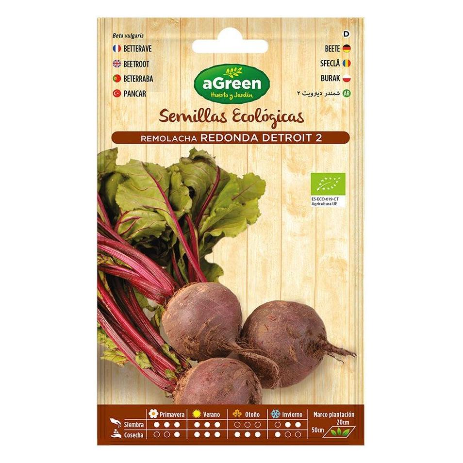 Agreen Eco seed envelope detroit beet (Gemüsesamen) (49402629)