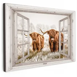 LEINWANDBILD Durchblick - Schottische Highlander - Tiere XXL 150x100 cm